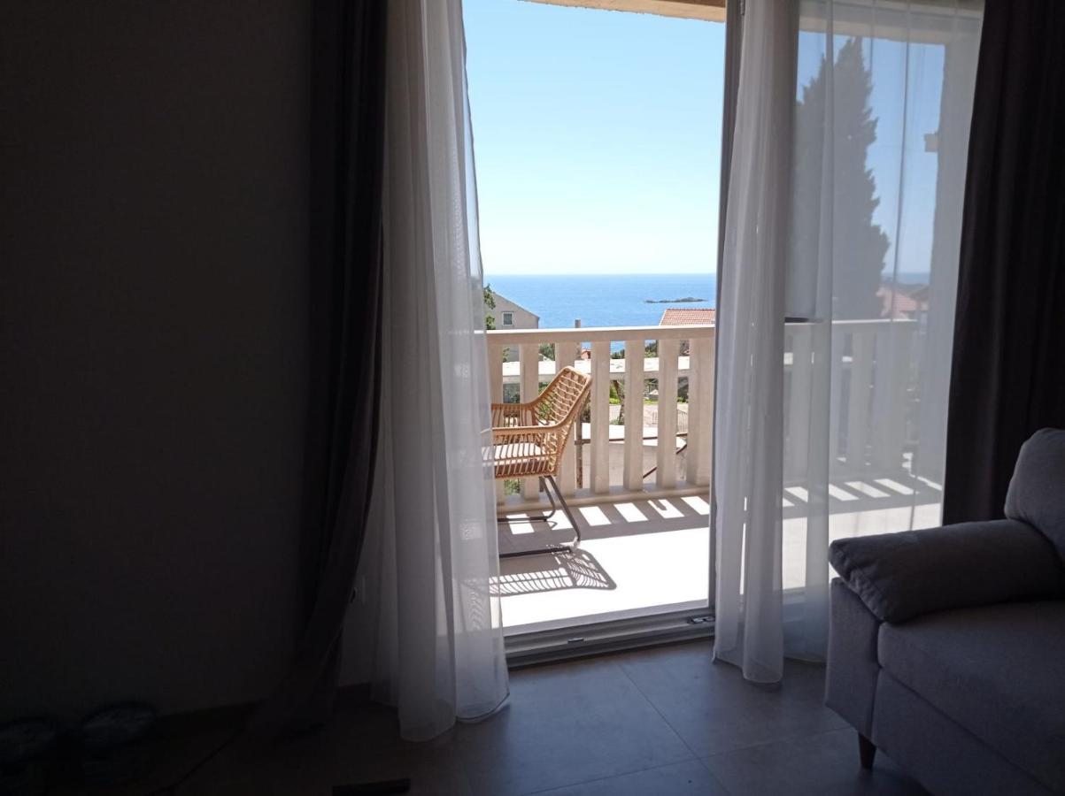 Apartman Noel 1