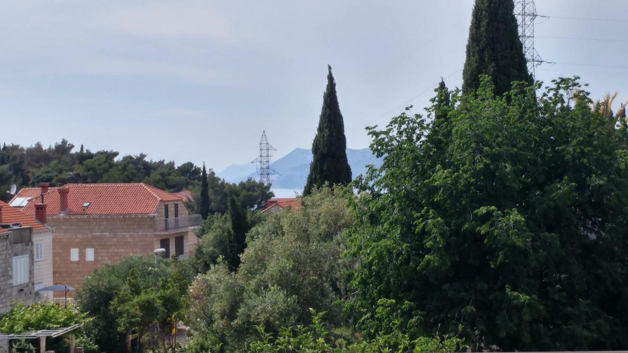 Noel 1 Cavtat